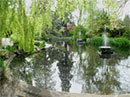 Duck Pond