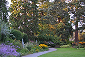 English Country Garden