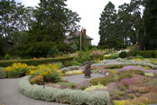 Herb Garden