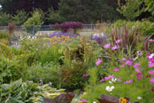Nursery Garden