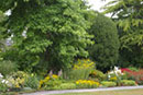 Rockland Border I