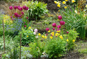 Rockland II Border