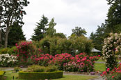 Victorian Rose Garden