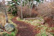 Woodlands Trail