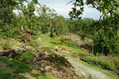 Terraces